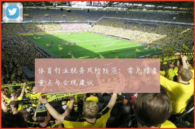 体育行业税务风险防范:常见稽查重点与合规建议