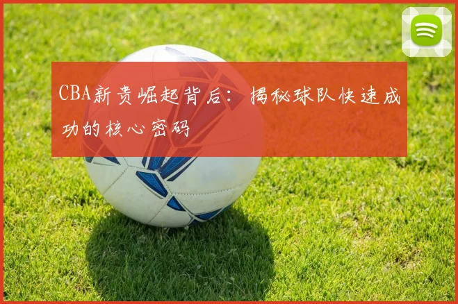 CBA新贵崛起背后：揭秘球队快速成功的核心密码