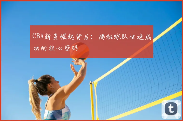 CBA新贵崛起背后:揭秘球队快速成功的核心密码